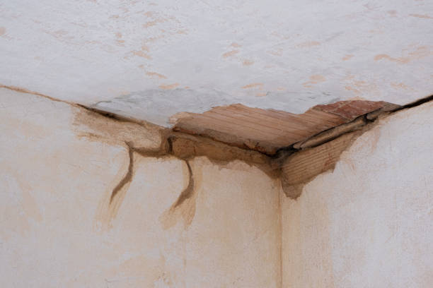 Best Residential water damage restoration  in Holtville, AL