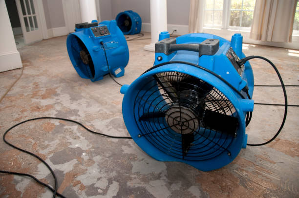 Best 24/7 water damage repair  in Holtville, AL