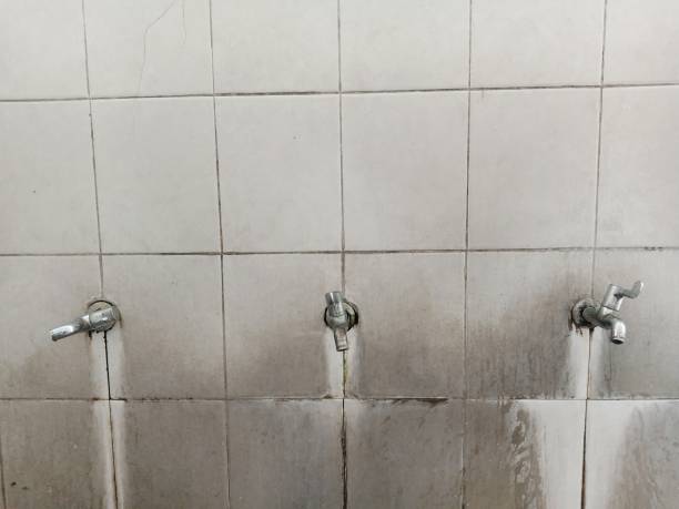 Best Professional water damage repair  in Holtville, AL
