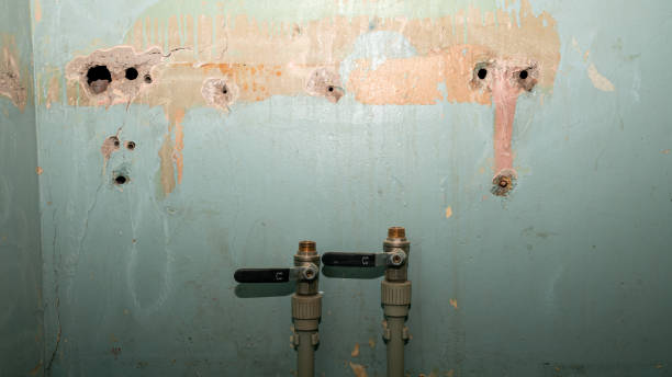 Professional Water damage restoration in Holtville, AL