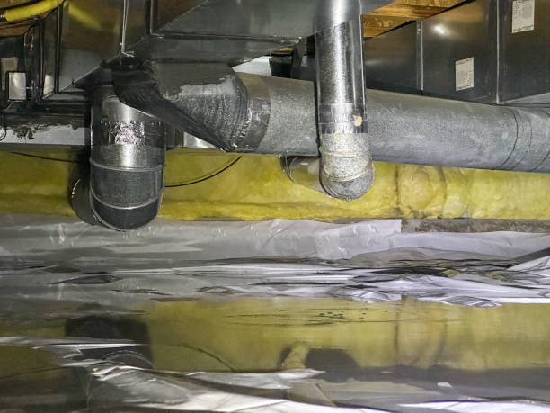 Best Mold removal after water damage  in Holtville, AL