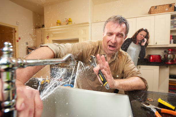 Best Basement water damage restoration  in Holtville, AL